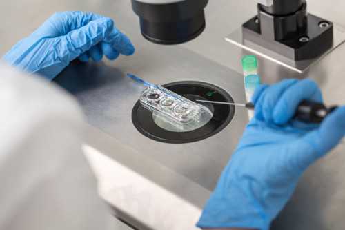 佛山试管助孕费用明细：供卵代怀与专业代生选择