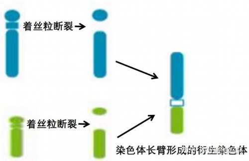 南京供卵第三代试管婴儿医院排名,附试管助孕机构一览！,代孕生殖中心在哪里